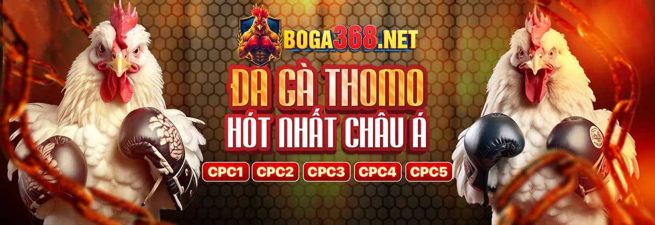 Đá Gà MCW19