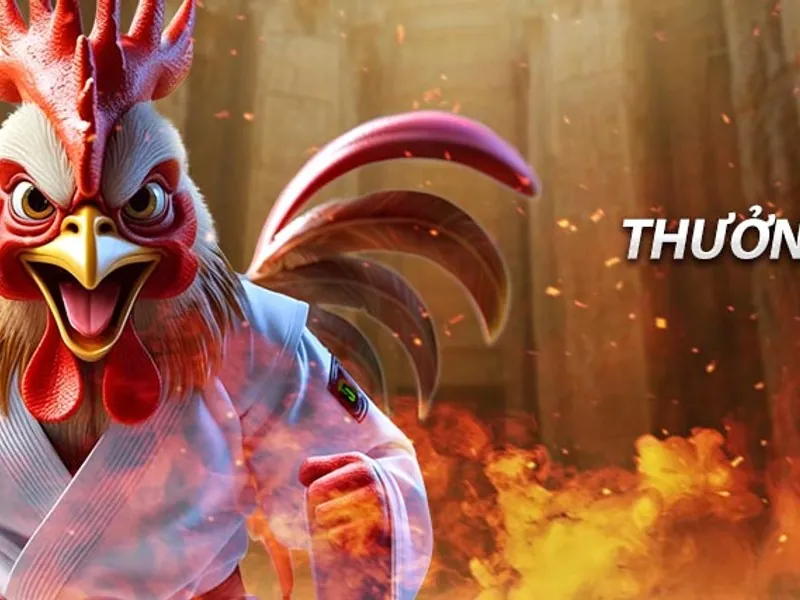 Võ sĩ MMA đang thi đấu