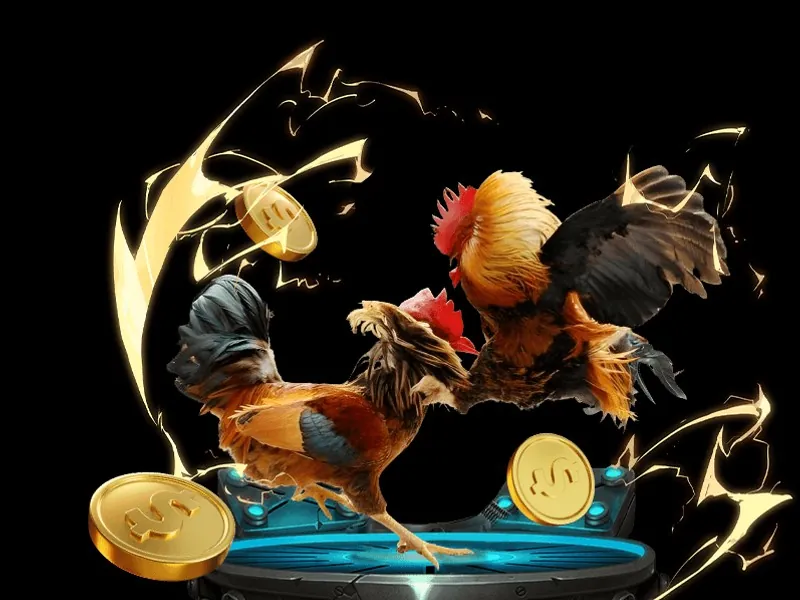 Người dẫn chương trình Game Show trực tuyến tại MCW19